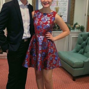 Fit andFlare Mod Dress